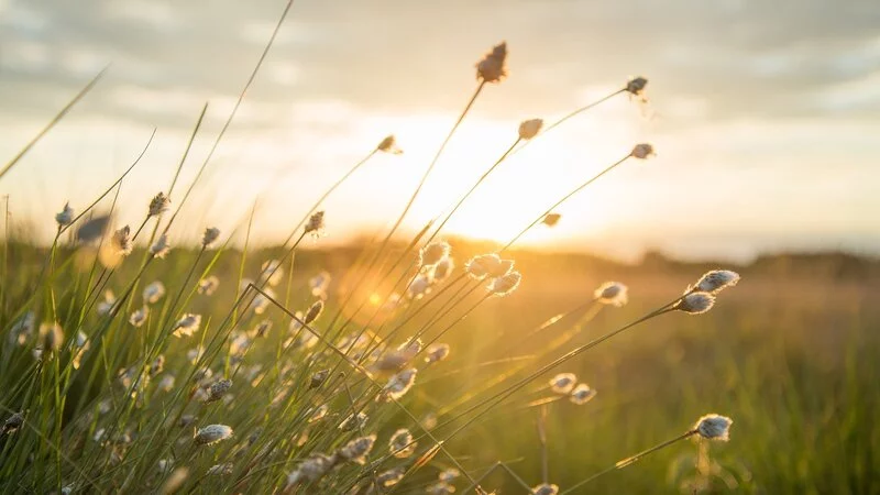 Солнце и ветер придут на Сахалин и Курилы