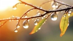 Прогноз погоды на Сахалине и Курилах 20 октября: дождь со снегом и низкое давление 