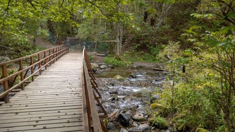 Лестницу на останец «Лягушка» временно закроют 8 августа