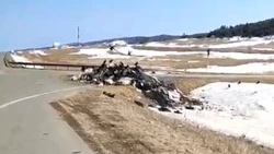 Целый мусоровоз отходов вывалили прямо на дорогу в Томаринском районе