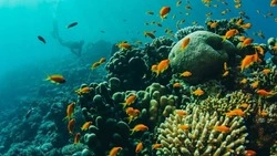 «Круууть, красота»: московский фотограф удивила сахалинцев кадрами острова Монерон