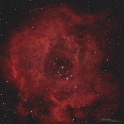 Роскосмос к 8 Марта показал космические туманности, напоминающие цветы