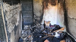 Детей и взрослых эвакуировали из горящего дома на Сахалине