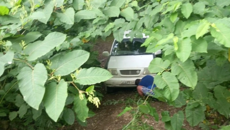 «Не остановились»: жительница Сахалина едва не осталась без помощи в глуши