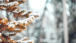 Прогноз погоды на Сахалине и Курилах 21 января: мороз до -22 и без осадков