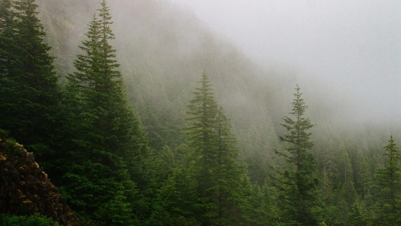 Церковный праздник 4 сентября 2024: что нельзя делать в этот день, приметы