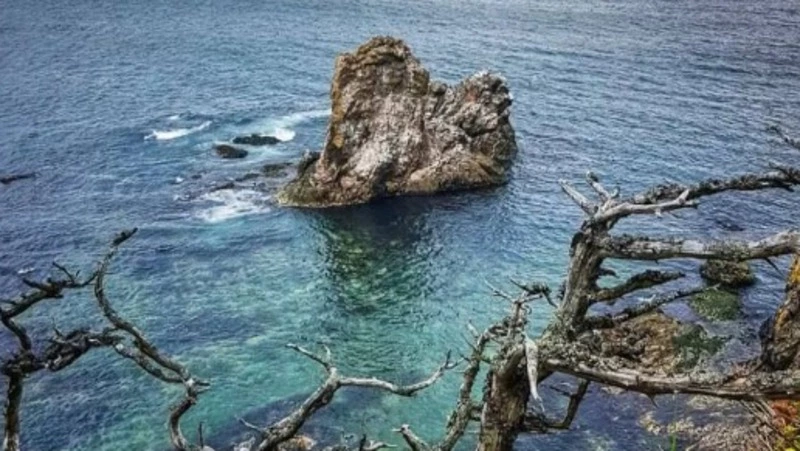 Фотофакт: сахалинцам показали красивые виды мыса Птичий