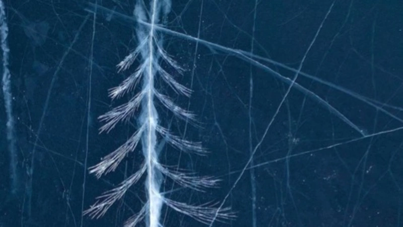 Фотофакт: маленькую елочку нарисовали на льду сахалинского озера