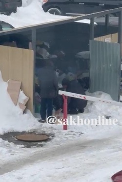 Крысы и бомжи нахлынули в район площади Победы в Южно-Сахалинске