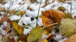 Морозы до -9 градусов придут на Сахалин в понедельник