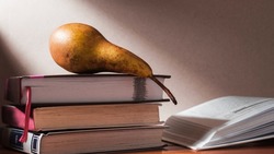 Лишь начитанный человек ответит на 8/8 — ТЕСТ по русской литературе