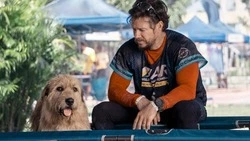 Афиша кино на выходные в Южно-Сахалинске: верный пес и последнее дело Хитмана