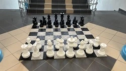 Пятая часть жителей Южно-Сахалинска вспоминают чаще плохое из школьного периода