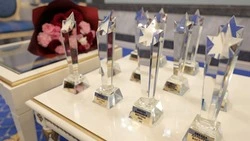 Более 150 проектов по развитию ДФО представят на премии «Звезда Дальнего Востока» 