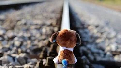 Из детдома в Аниве сбежала подросток