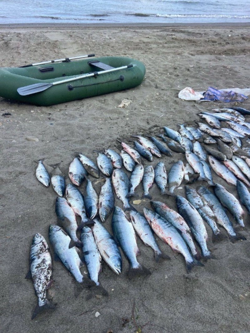 Рыбоохрана забрала почти 300 кг улова за неделю у сахалинских браконьеров