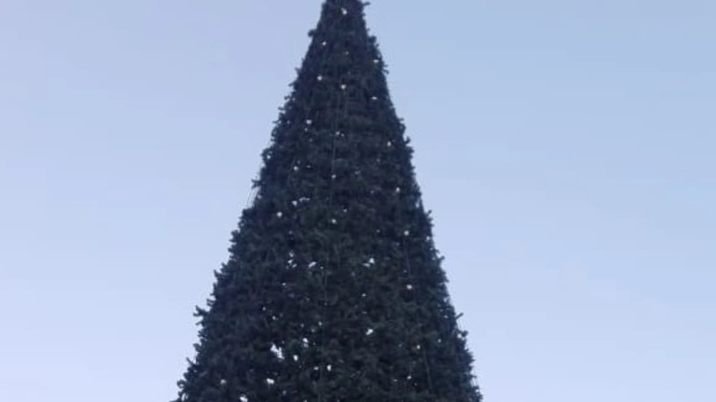 Сахалинцы жалуются на голую елку и горку-сопку в Долинске