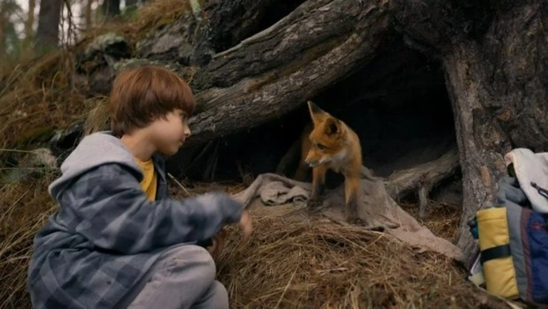 Афиша кино на выходные в Южно-Сахалинске: дружба с лисенком и планета Пандора