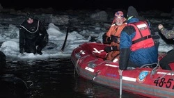 Сахалинские «Друзья океана» спасают морских гигантов уже 10 лет по всей России