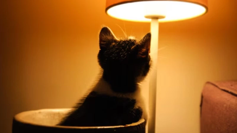 Село и планировочный район Южно-Сахалинска остались без света 31 октября