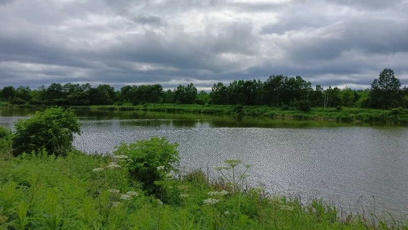 В реках Сахалина снова обнаружили повышенное содержание вредных веществ