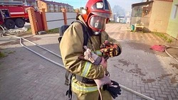 Пожарный спас из огня кошку в селе на Сахалине