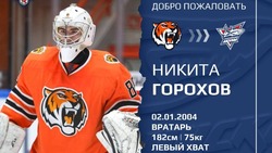 Состав «Сахалинских Акул» пополнил новый игрок из «Амурских Тигров»