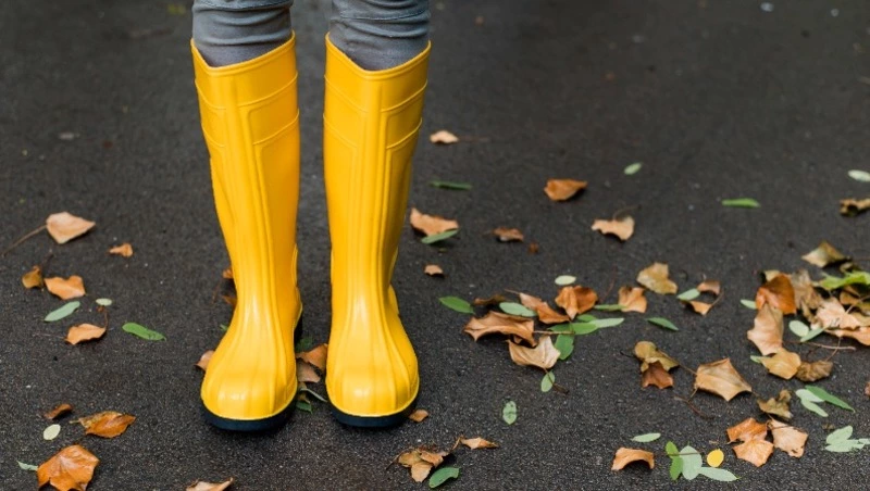 Небольшой дождь пройдет на Сахалине и Курилах 8 октября