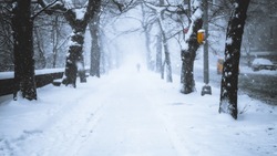 Больше 5 000 кубометров снега вывезли с улиц Южно-Сахалинска к утру 17 января