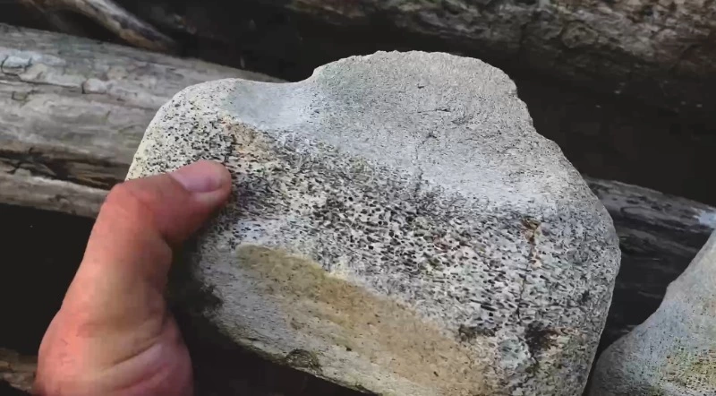 «Есть предположения — чьи?»: сахалинец обнаружил кости неизвестного происхождения