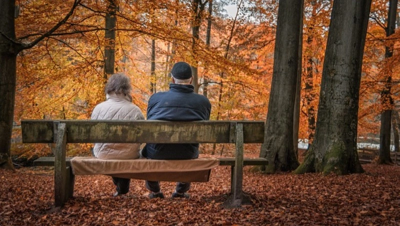 Досрочная пенсия в 2024 году: кто имеет право и сколько полагается