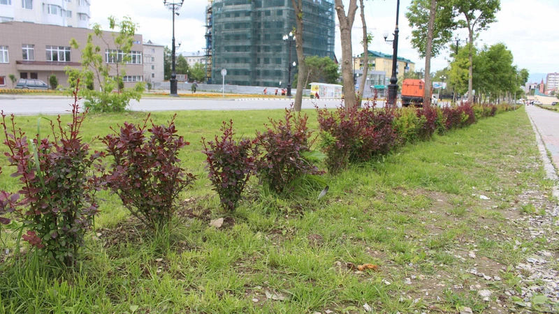 На треть увеличится стоимость жилья на Сахалине. Дороже будет только в Москве