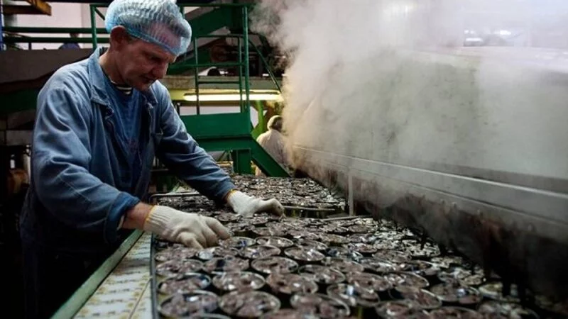 Долги «Островного» могут превысить один миллиард рублей