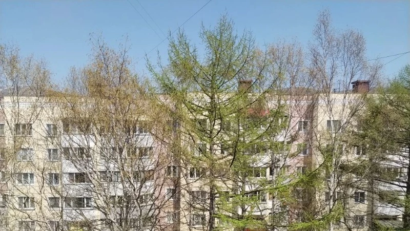 В Южно-Сахалинске 17 мая будет теплая и сухая погода