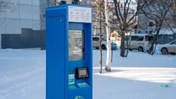 За неделю 400 водителей оценили новую платную парковку в центре Южно-Сахалинска