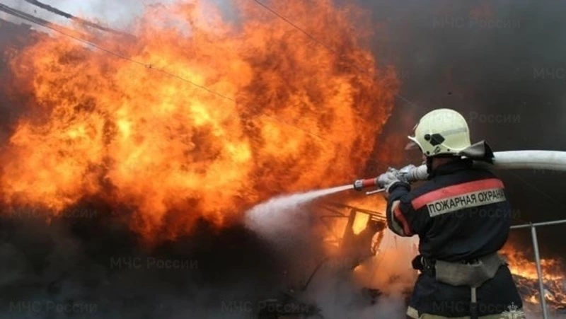 Пожарные потушили опору электропередач в Холмском районе 