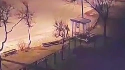 Школьники в Корсакове разбили остановки камнями: на вандалов завели уголовное дело