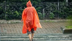 Ливни и ураганный ветер до 32 м/с продолжатся в Сахалинской области 29 мая