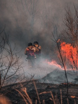 Sakh.online составил рейтинг самых больших заблуждений о лесных пожарах