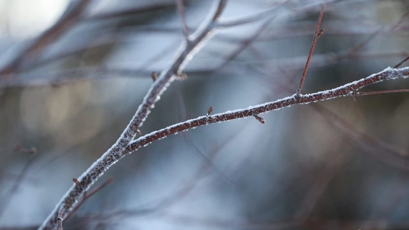 На юге Сахалина снова похолодает до -20 градусов