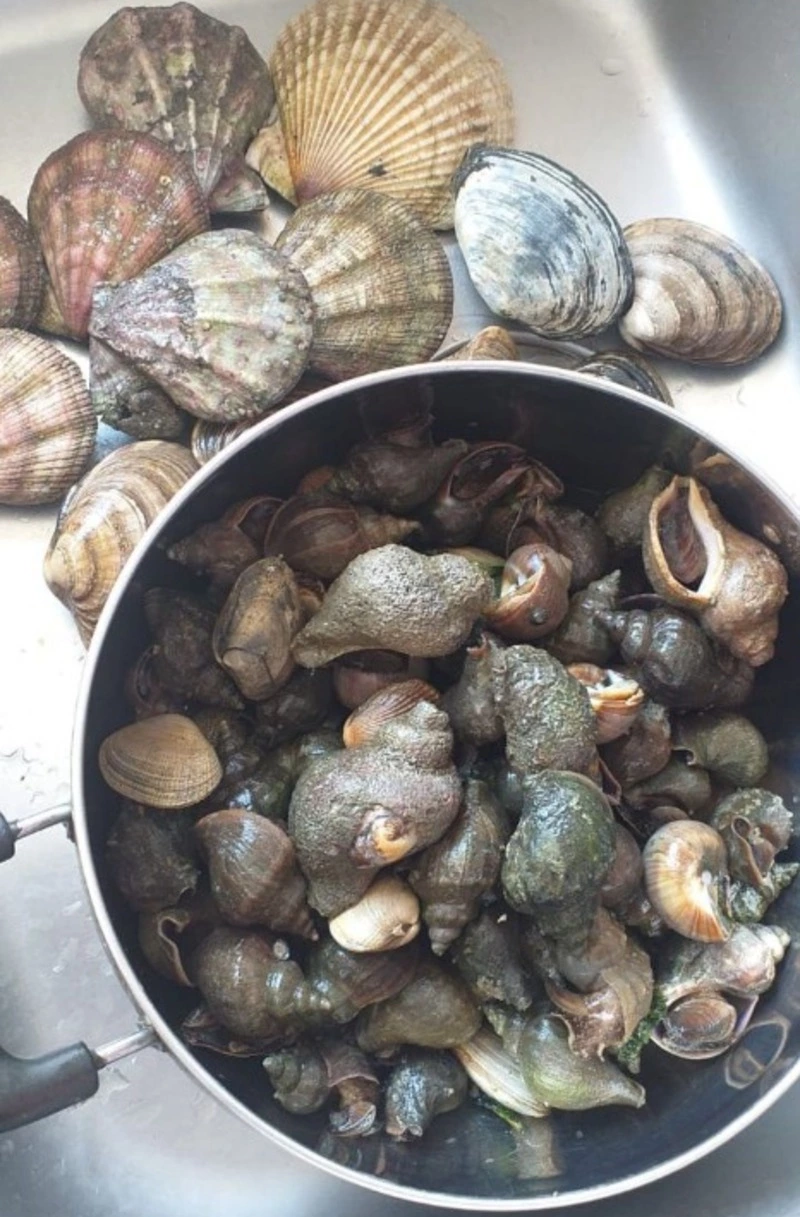 «Много разных вкусняшек»: циклон одарил сахалинку кастрюлей деликатесов         