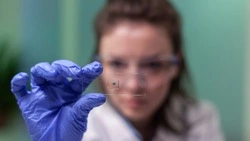 В России планируют ввести генетическое тестирование для будущих родителей