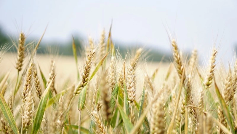 Президент РФ сообщил о стабилизации экономики