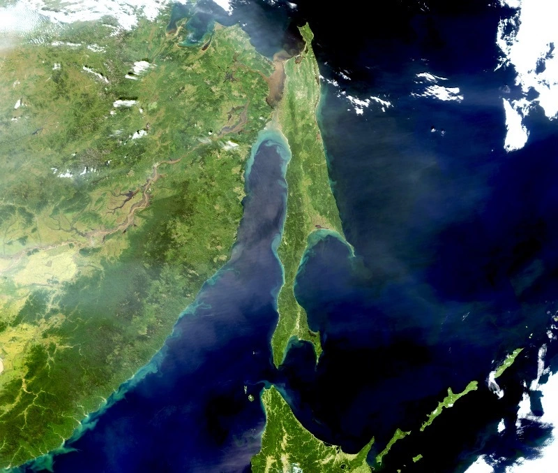 Цветущий у берегов Сахалина фитопланктон засняли из космоса