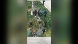 Школьники Корсакова устроили «бойцовский клуб» под деревом
