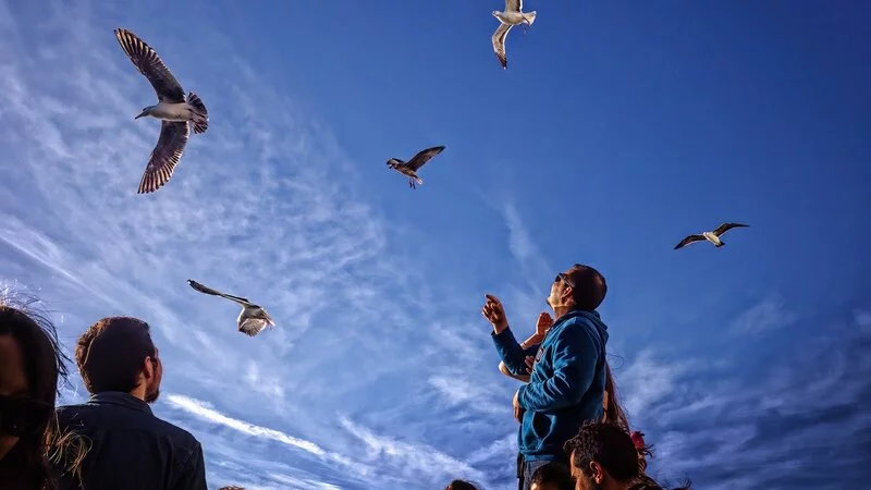 Участники форума «ОстроVa» сгенерируют предложения по развитию туризма на Сахалине