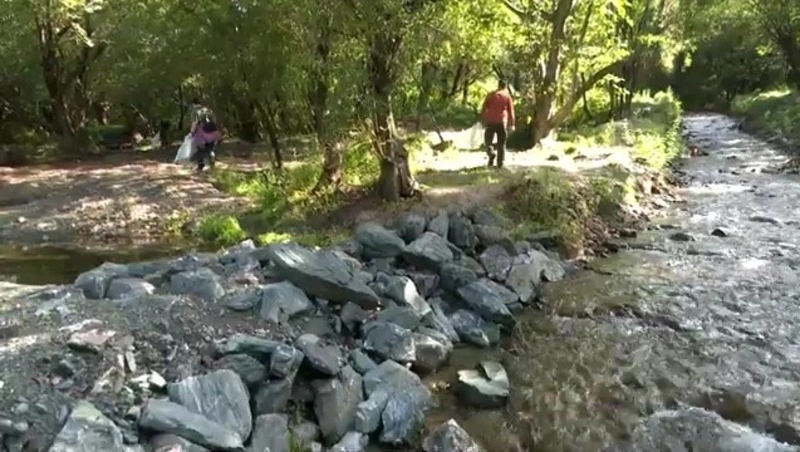 В «Роднике» дети учатся выживать в дикой природе, не нанося ей вреда. Среда обитания 19.09.24