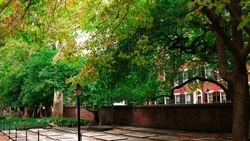 К Новому году на Сахалине обновят 40 массовых мест отдыха