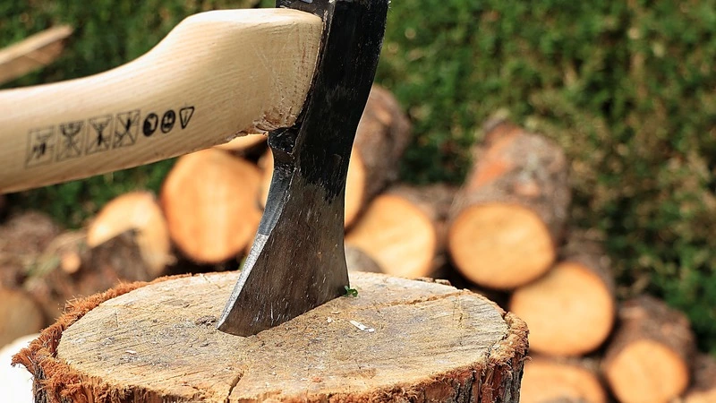 Охинская прокуратура разберется, кто и зачем принес топор в начальную школу