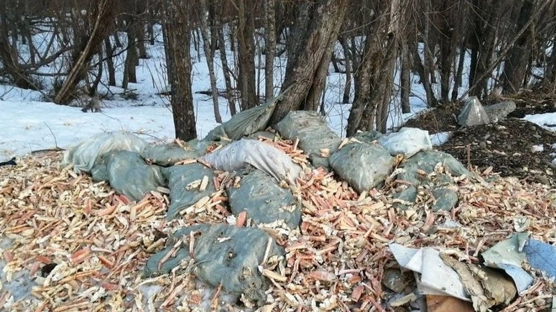 Кучу крабовых отходов вывалили по дороге в Поронайск